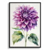 Asteraceae Watercolour Botanical Art Print - Purple dahlia Minimalist Framed Plant Wall Art 2 watercolour botanical print flowers purple dahlia minimalist front view