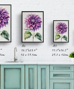 Asteraceae Watercolour Botanical Art Print - Purple dahlia Minimalist Framed Plant Wall Art 17 watercolour botanical print flowers purple dahlia minimalist print size comparison