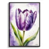 Tulipa Lady Watercolour Botanical Art Print - Purple tulip Framed Plant Wall Art 1 watercolour botanical print flowers purple tulip front view