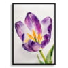 Tulipa Lady Watercolour Botanical Art Print - Purple tulip Minimalist Framed Plant Wall Art 1 watercolour botanical print flowers purple tulip minimalist front view