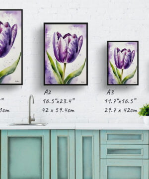 Tulipa Lady Watercolour Botanical Art Print - Purple tulip Framed Plant Wall Art 17 Tulipa Lady Watercolour Botanical Art Print - Purple tulip Framed Plant Wall Art - Image 4