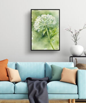 Wild carrot Watercolour Botanical Art Print - Queen Annes lace Framed Plant Wall Art 15 Wild carrot Watercolour Botanical Art Print - Queen Annes lace Framed Plant Wall Art - Image 2