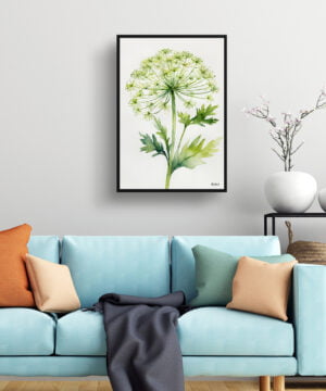 Wild carrot Watercolour Botanical Art Print - Queen Annes lace Minimalist Framed Plant Wall Art 15 Wild carrot Watercolour Botanical Art Print - Queen Annes lace Minimalist Framed Plant Wall Art - Image 2