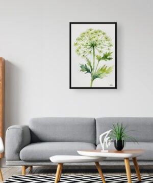 Wild carrot Watercolour Botanical Art Print - Queen Annes lace Minimalist Framed Plant Wall Art 16 Wild carrot Watercolour Botanical Art Print - Queen Annes lace Minimalist Framed Plant Wall Art - Image 3