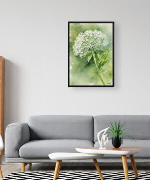 Wild carrot Watercolour Botanical Art Print - Queen Annes lace Framed Plant Wall Art 16 Wild carrot Watercolour Botanical Art Print - Queen Annes lace Framed Plant Wall Art - Image 3