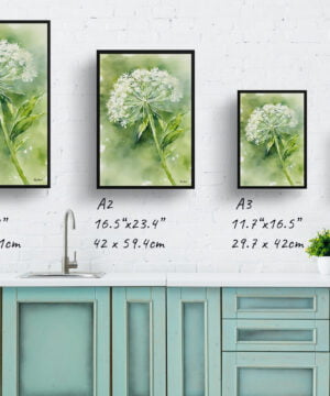 Wild carrot Watercolour Botanical Art Print - Queen Annes lace Framed Plant Wall Art 17 Wild carrot Watercolour Botanical Art Print - Queen Annes lace Framed Plant Wall Art - Image 4