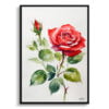 Garden Watercolour Botanical Art Print - Red rose Minimalist Framed Plant Wall Art 2 watercolour botanical print flowers red rose minimalist front view