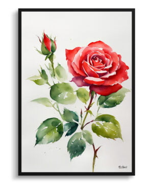 Garden Watercolour Botanical Art Print - Red rose Minimalist Framed Plant Wall Art