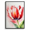 Tulipa Watercolour Botanical Art Print - Red tulip Framed Plant Wall Art 2 watercolour botanical print flowers red tulip front view