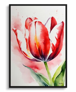 Tulipa Watercolour Botanical Art Print - Red tulip Framed Plant Wall Art