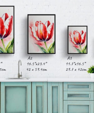 Tulipa Watercolour Botanical Art Print - Red tulip Framed Plant Wall Art 17 Tulipa Watercolour Botanical Art Print - Red tulip Framed Plant Wall Art - Image 4