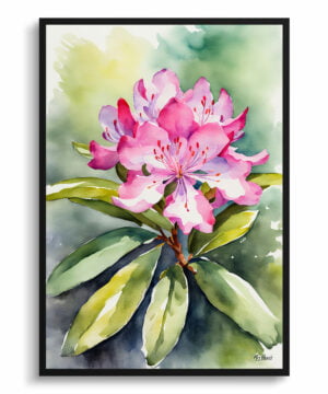 Azalea Watercolour Botanical Art Print - Rhododendron Framed Plant Wall Art