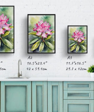Azalea Watercolour Botanical Art Print - Rhododendron Framed Plant Wall Art 17 Azalea Watercolour Botanical Art Print - Rhododendron Framed Plant Wall Art - Image 4