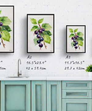 Blackcurrant Watercolour Botanical Art Print - Ribes Nigrum Cassissima Noiroma Minimalist Framed Plant Wall Art 17 Blackcurrant Watercolour Botanical Art Print - Ribes Nigrum Cassissima Noiroma Minimalist Framed Plant Wall Art - Image 4