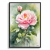 Rose Watercolour Botanical Art Print - Rosa Madame Alfred Carriére Framed Plant Wall Art 1 watercolour botanical print flowers rosa madame alfred carriere front view