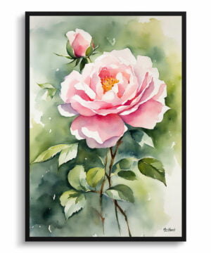 Rose Watercolour Botanical Art Print - Rosa Madame Alfred Carriére Framed Plant Wall Art