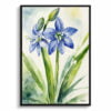 Alpine Squill Watercolour Botanical Art Print - Scilla Bifolia Framed Plant Wall Art 1 watercolour botanical print flowers scilla bifolia front view