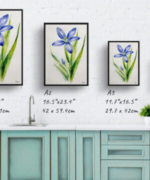 Alpine Squill Watercolour Botanical Art Print - Scilla Bifolia Minimalist Framed Plant Wall Art 17 Alpine Squill Watercolour Botanical Art Print - Scilla Bifolia Minimalist Framed Plant Wall Art - Image 4
