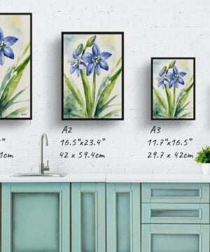 Alpine Squill Watercolour Botanical Art Print - Scilla Bifolia Framed Plant Wall Art 17 Alpine Squill Watercolour Botanical Art Print - Scilla Bifolia Framed Plant Wall Art - Image 4