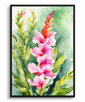 Dragon flower Watercolour Botanical Art Print - Snapdragon Framed Plant Wall Art