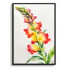 Dragon flower Watercolour Botanical Art Print - Snapdragon Minimalist Framed Plant Wall Art 1 watercolour botanical print flowers snapdragon minimalist front view