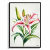 Stargazer lily (Lilium orientalis) Minimalist Watercolour Botanical Art Print - Framed Plant Wall Art 2 watercolour botanical print flowers stargazer lily minimalist front view