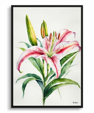 Stargazer lily (Lilium orientalis) Minimalist Watercolour Botanical Art Print - Framed Plant Wall Art