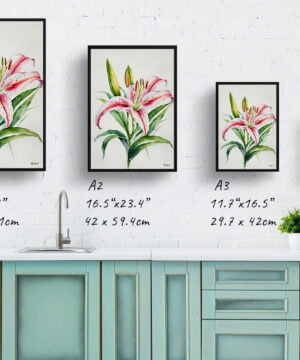 Stargazer lily (Lilium orientalis) Minimalist Watercolour Botanical Art Print - Framed Plant Wall Art 17 Stargazer lily (Lilium orientalis) Minimalist Watercolour Botanical Art Print - Framed Plant Wall Art - Image 4