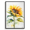 Helianthus Watercolour Botanical Art Print - Sunflower Minimalist Framed Plant Wall Art 2 watercolour botanical print flowers sunflower minimalist front view