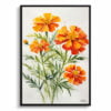 African Marigold Watercolour Botanical Art Print - Tagetes Cinnabar Minimalist Framed Plant Wall Art 2 watercolour botanical print flowers tagetes cinnabar minimalist front view