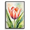 Tulip Watercolour Botanical Art Print - Tulipa Salmon Impression Framed Plant Wall Art 1 watercolour botanical print flowers tulipa salmon impression front view