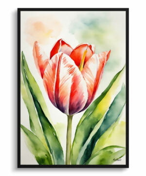 Tulip Watercolour Botanical Art Print - Tulipa Salmon Impression Framed Plant Wall Art