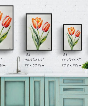 Tulip Watercolour Botanical Art Print - Tulipa Salmon Impression Minimalist Framed Plant Wall Art 17 Tulip Watercolour Botanical Art Print - Tulipa Salmon Impression Minimalist Framed Plant Wall Art - Image 4