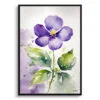 Violet Watercolour Botanical Art Print - Viola Odorata Framed Plant Wall Art 2 watercolour botanical print flowers violet front view