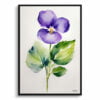 Violet Watercolour Botanical Art Print - Viola Odorata Minimalist Framed Plant Wall Art 2 watercolour botanical print flowers violet minimalist front view