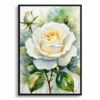 Alba Watercolour Botanical Art Print - White rose Framed Plant Wall Art 2 watercolour botanical print flowers white rose front view