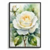 Alba Watercolour Botanical Art Print - White rose Framed Plant Wall Art 1 watercolour botanical print flowers white rose front view