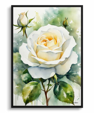Alba Watercolour Botanical Art Print - White rose Framed Plant Wall Art