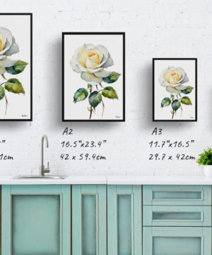 Alba Watercolour Botanical Art Print - White rose Minimalist Framed Plant Wall Art 17 Alba Watercolour Botanical Art Print - White rose Minimalist Framed Plant Wall Art - Image 4