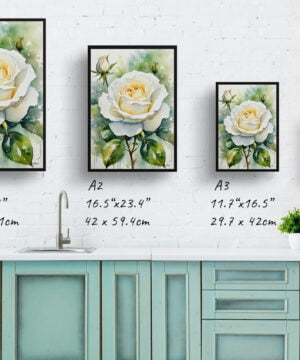 Alba Watercolour Botanical Art Print - White rose Framed Plant Wall Art 17 Alba Watercolour Botanical Art Print - White rose Framed Plant Wall Art - Image 4