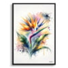 Bird of Paradise (Strelitzia) Watercolour Botanical Art Print - Blotted Painting Framed Plant Wall Art 2 watercolour blotted flowers bird of paradisestrelitzia front view