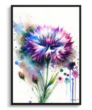 Cornflower (Centaurea cyanus) Watercolour Botanical Art Print - Blotted Painting Framed Plant Wall Art