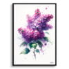Lilac (Syringa vulgaris) Watercolour Botanical Art Print - Blotted Painting Framed Plant Wall Art 1 watercolour blotted flowers lilacsyringa vulgaris front view