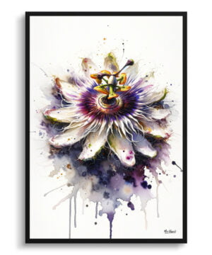 Passion Flower (Passiflora) Watercolour Botanical Art Print - Blotted Painting Framed Plant Wall Art