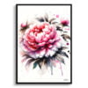 Peony (Paeonia) Watercolour Botanical Art Print - Blotted Painting Framed Plant Wall Art 1 watercolour blotted flowers peonypaeonia front view