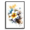 Plumeria (Frangipani) Watercolour Botanical Art Print - Blotted Painting Framed Plant Wall Art 2 watercolour blotted flowers plumeriafrangipani front view