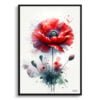 Poppy (Papaver rhoeas) Watercolour Botanical Art Print - Blotted Painting Framed Plant Wall Art 2 watercolour blotted flowers poppypapaver rhoeas front view