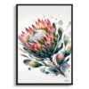 Proteas (Sugarbushes) Watercolour Botanical Art Print - Blotted Painting Framed Plant Wall Art 1 watercolour blotted flowers proteassugarbushes front view