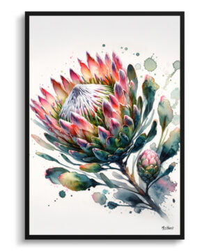 Proteas (Sugarbushes) Watercolour Botanical Art Print - Blotted Painting Framed Plant Wall Art