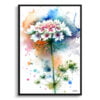 Queen Anne's lace (Daucus carota) Watercolour Botanical Art Print - Blotted Painting Framed Plant Wall Art 2 watercolour blotted flowers queen annes lacedaucus carota front view